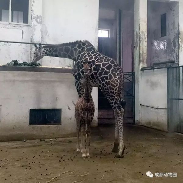 未标题-19.jpg
