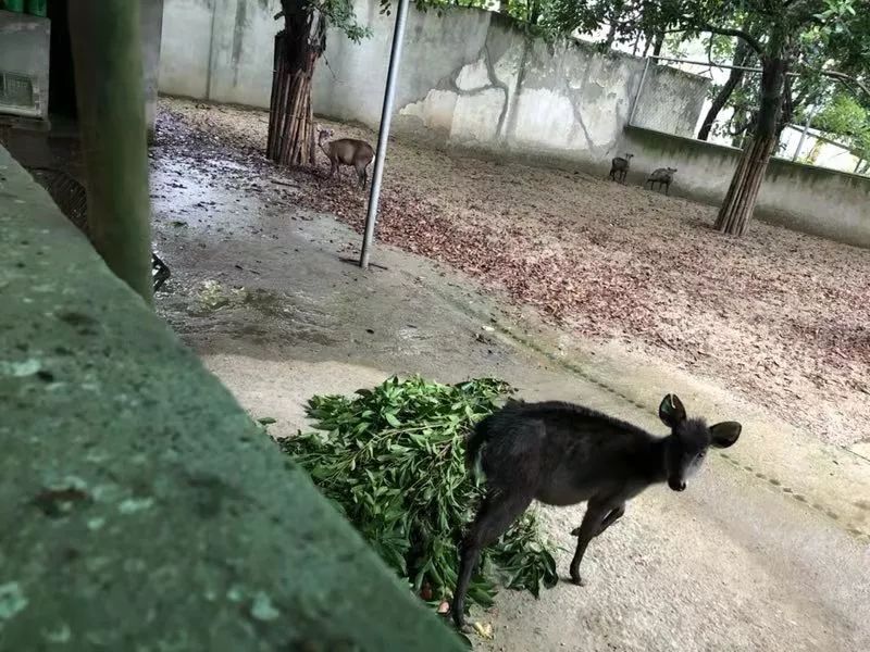 微信图片_20190725201817.jpg