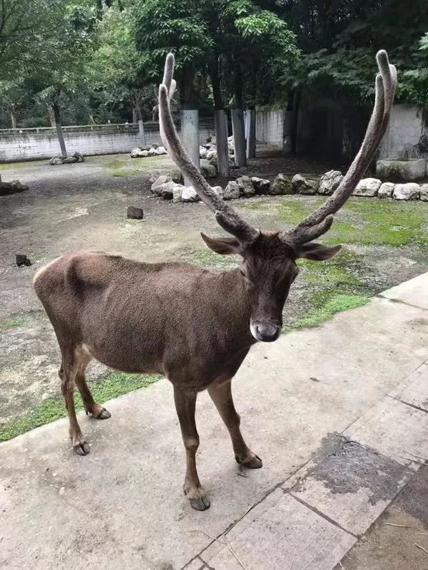 微信图片_20190725201833.jpg