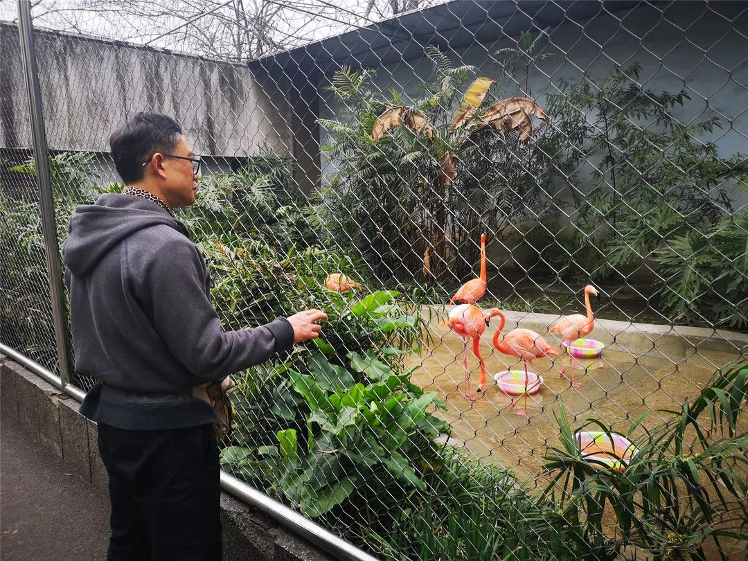 野生動物體檢的那些事兒 | 成都動物園