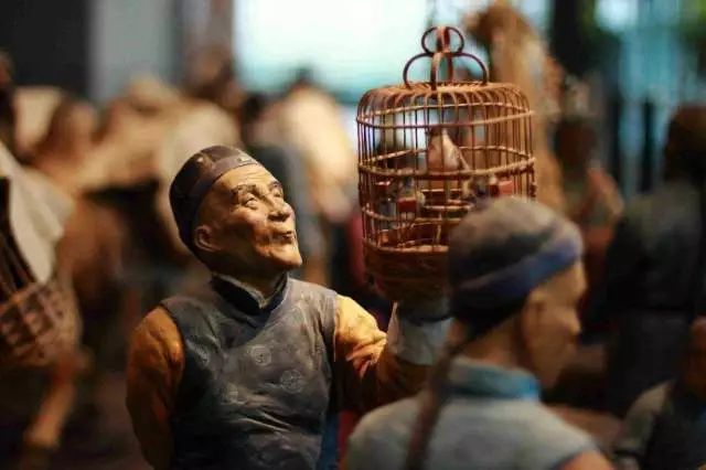 从古至今,我们都有养鸟的历史,甚至发展成了一种养鸟文化,兴盛于清朝