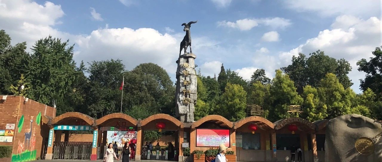 國慶天天樂錯峰出行成都動物園全新打開方式